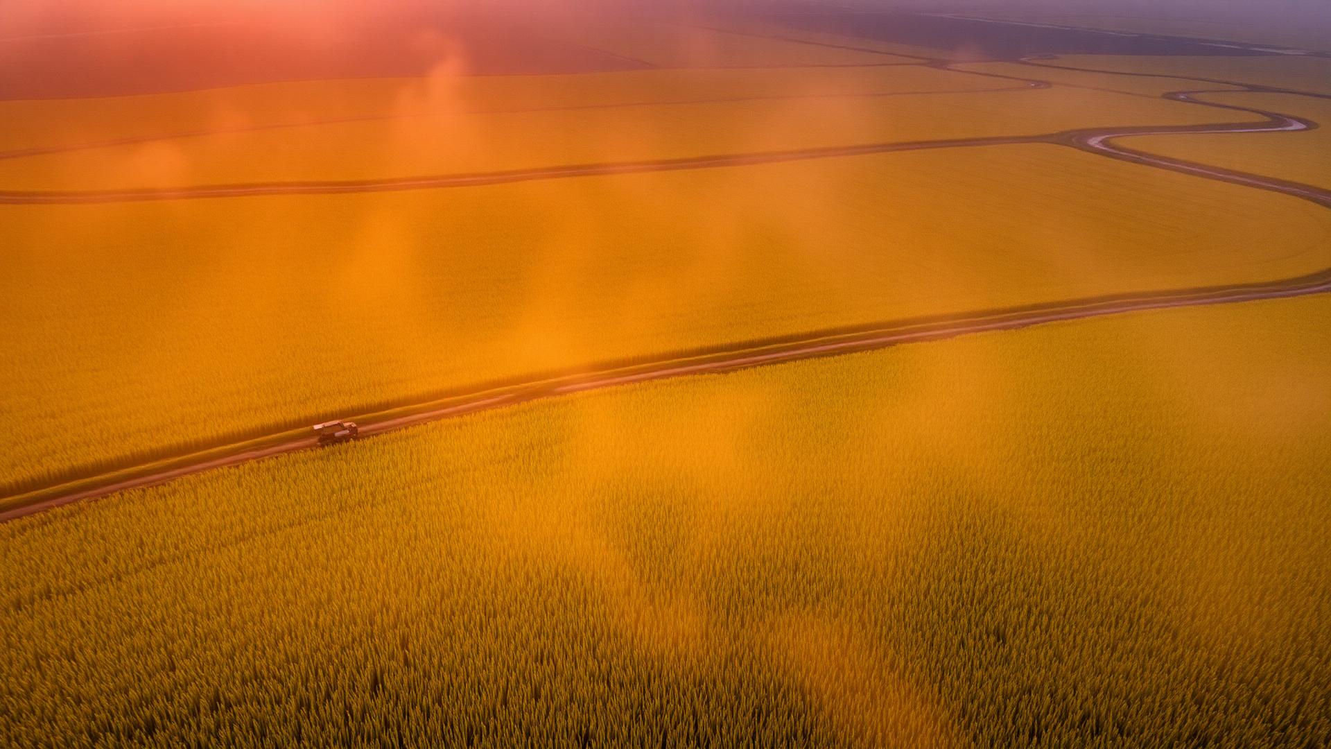 Odisha paddy fields at sunrise, heritage of Kandhamal